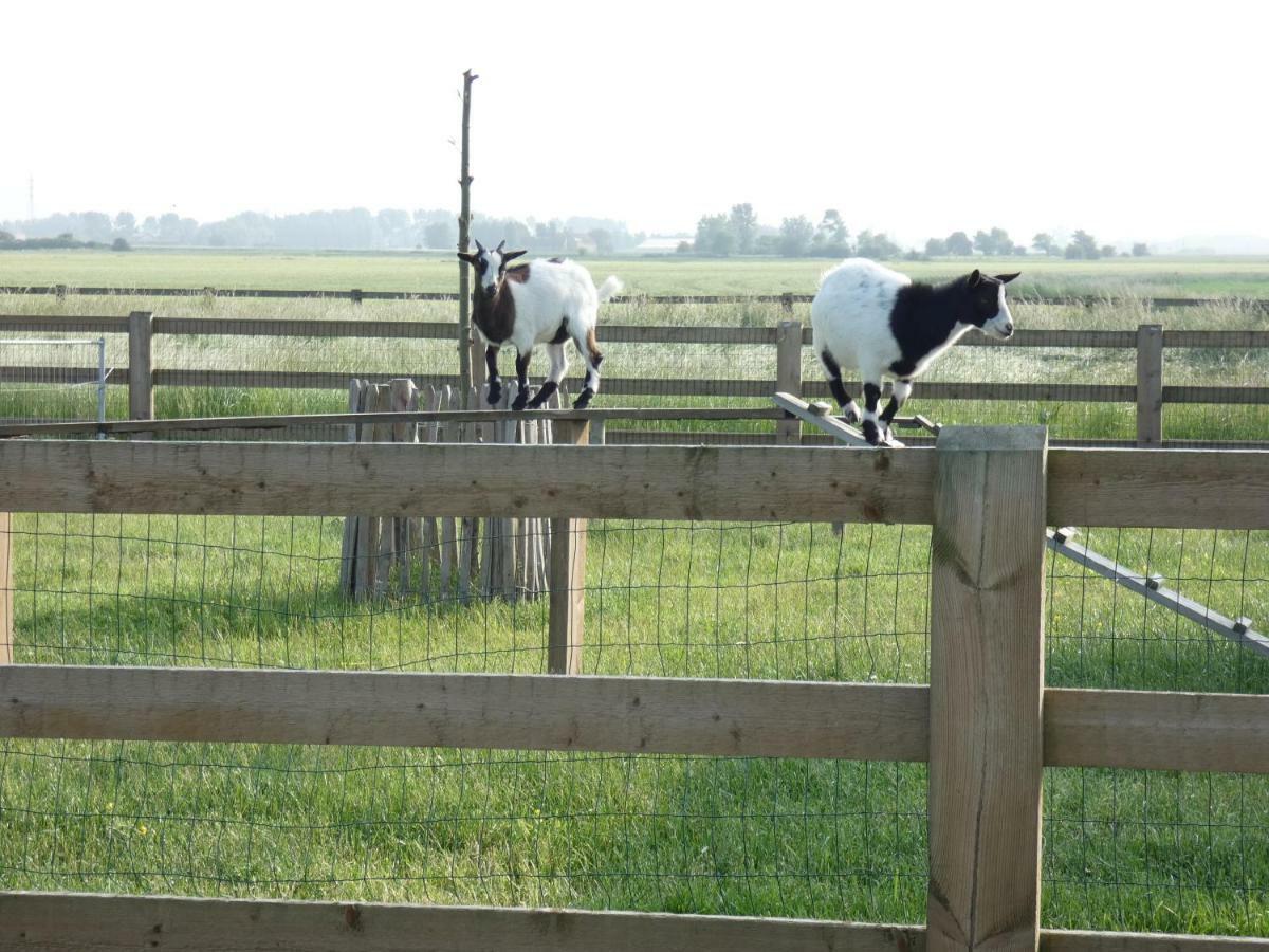 Vakantiehoeve 'T Goed Ter Leeuwen De Haan Exterior foto